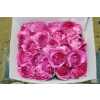Rosa Gr Scented Yves Piaget