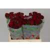 Rosa Gr Upper Class Tima