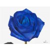 Rosa Gr Vendela Blue