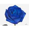 Rosa Gr Vendela Blue