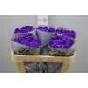 Rosa Gr Vendela Paint Milka/purple