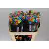 Rosa Gr Vendela Rainbow