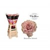 Rosa Gr Vip Bourbon Street