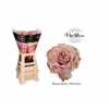 Rosa Gr Vip Bourbon Street