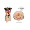Rosa Gr Vip Darlington