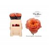 Rosa Gr Vip Kensin Gardens!