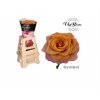 Rosa Gr Vip Symbol