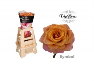 Rosa Gr Vip Symbol
