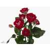 Rosa Tr B-bubbles