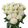Rosa Tr Bridal Flow