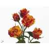 Rosa Tr Fire Flash