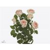 Rosa Tr Rlm Ing Kristi