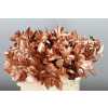 Ruscus Painted Copper