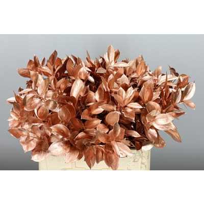 Ruscus Painted Copper