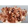 Ruscus Painted Copper + Glitter