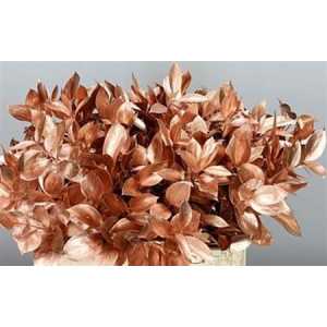 Ruscus Painted Copper + Glitter