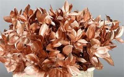 Ruscus Painted Copper + Glitter