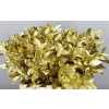 Ruscus Painted Gold + Glitter
