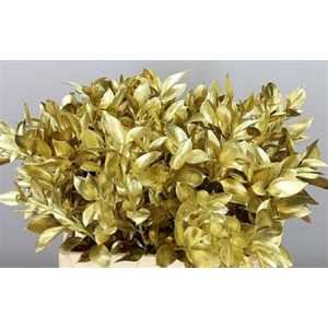 Ruscus Painted Gold + Glitter