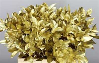 Ruscus Painted Gold + Glitter