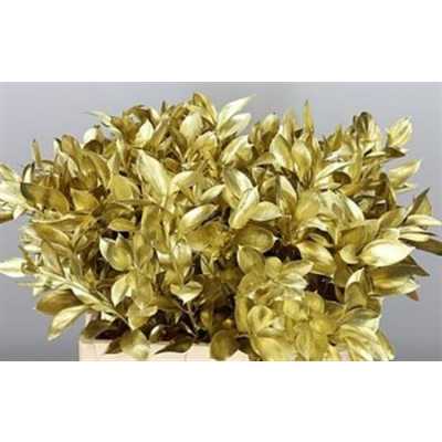 Ruscus Painted Gold + Glitter