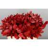 Ruscus Painted Red + Glitter