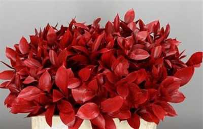 Ruscus Painted Red + Glitter