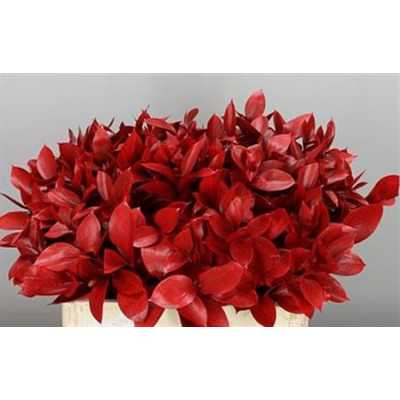 Ruscus Painted Red + Glitter