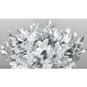 Ruscus Painted Silver + Glitter
