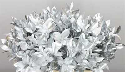 Ruscus Painted Silver + Glitter