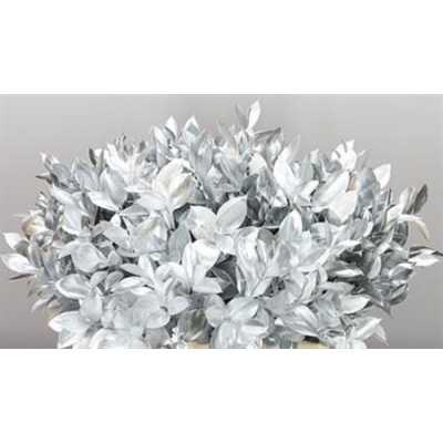 Ruscus Painted Silver + Glitter