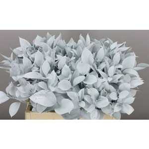 Ruscus Painted White + Glitter
