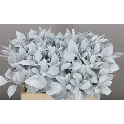 Ruscus Painted White + Glitter