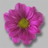 Sant Ov Dark Pink