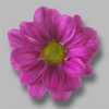 Sant Ov Dark Pink
