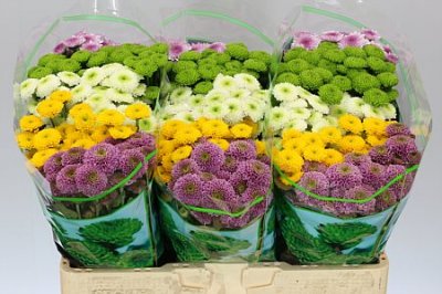 Sant Pompom Mix