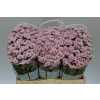 Sant Rossi Pink