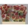 Scabiosa Atr Marshm Scoop