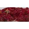 Scabiosa Atr Raspberry Scoop