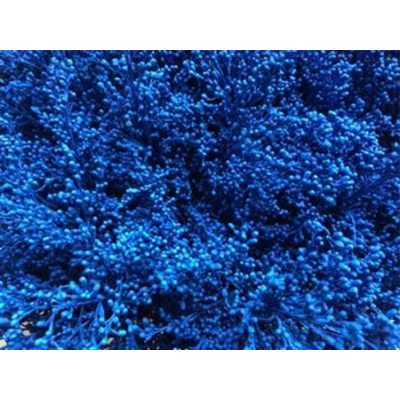 Sol Painted Blue