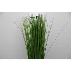 Steel Grass X20