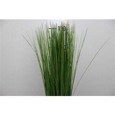 Steel Grass X20