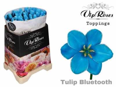 Tulipa Vip En Bluetooth
