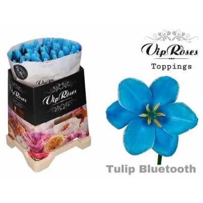 Tulipa Vip En Bluetooth