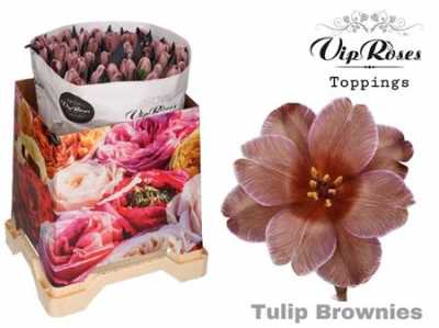 Tulipa Vip En Brownies (toppings)