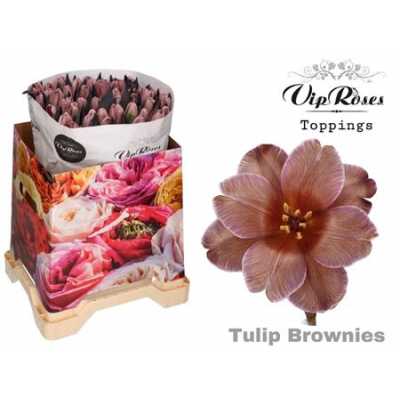 Tulipa Vip En Brownies (toppings)
