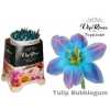 Tulipa Vip En Bubblegum