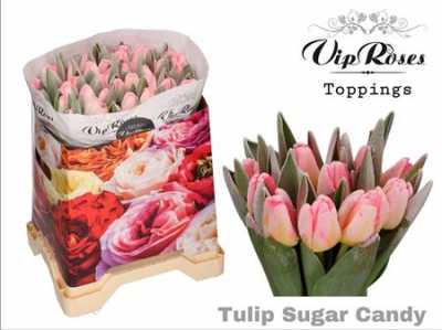 Tulipa Vip En Frost Sugar Candy (toppings)