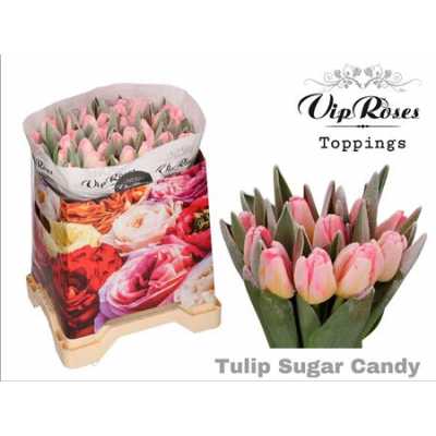 Tulipa Vip En Frost Sugar Candy (toppings)