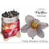 Tulipa Vip En Shades Of Grey